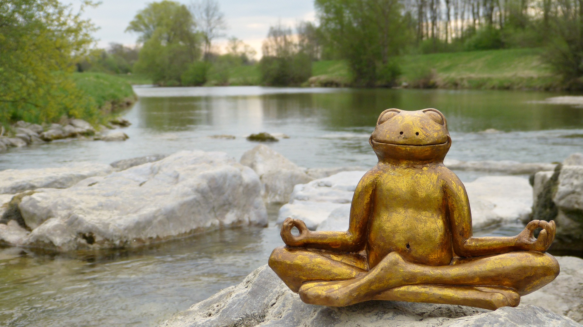 Mindfulness - Méditation